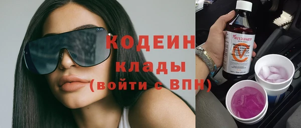 спиды Богородицк