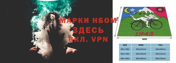 спиды Богородицк