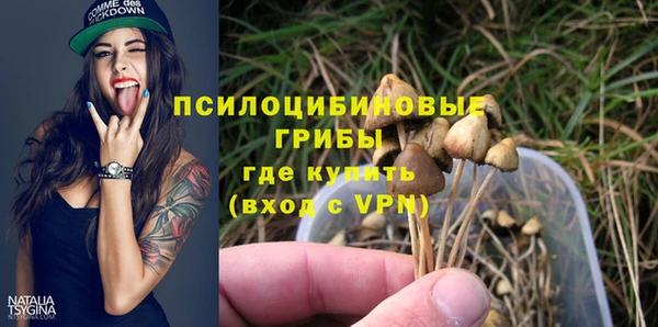 спиды Богородицк