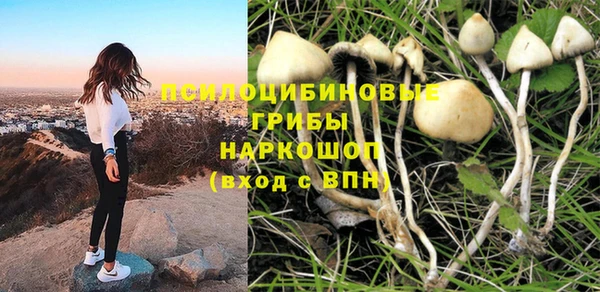 спиды Богородицк
