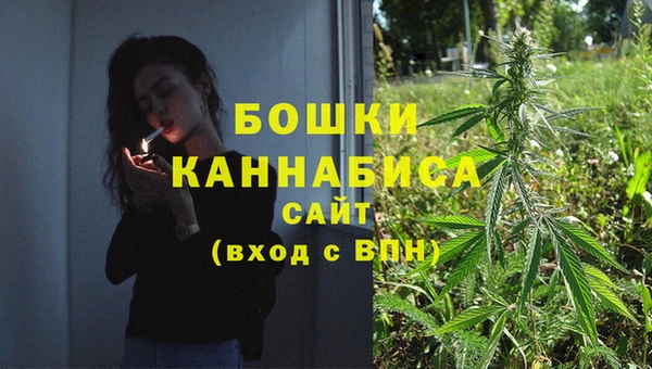 Альфа ПВП Богородск