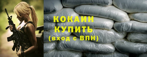 спиды Богородицк