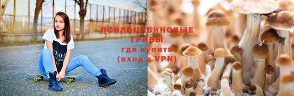 Альфа ПВП Богородск